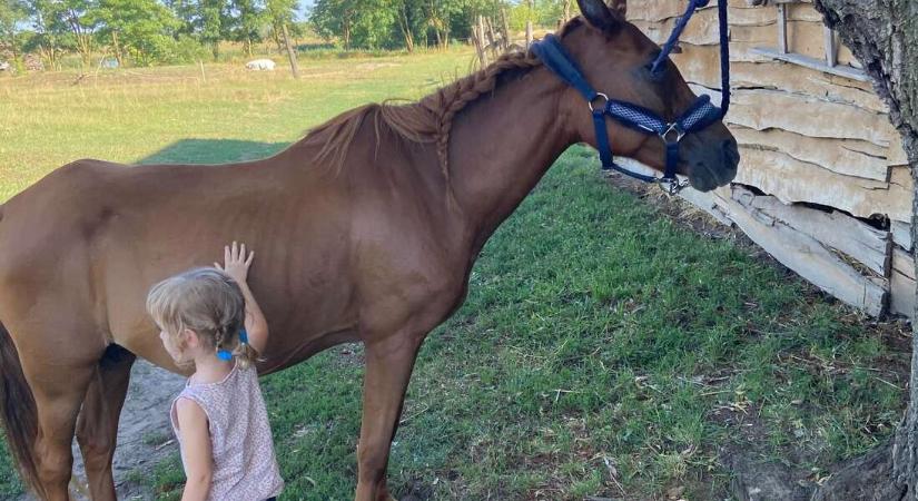 Szabó Anna Eszter kislánya: Mama, írhatnál végre egy normális cikket is. Mondjuk, a lovakról