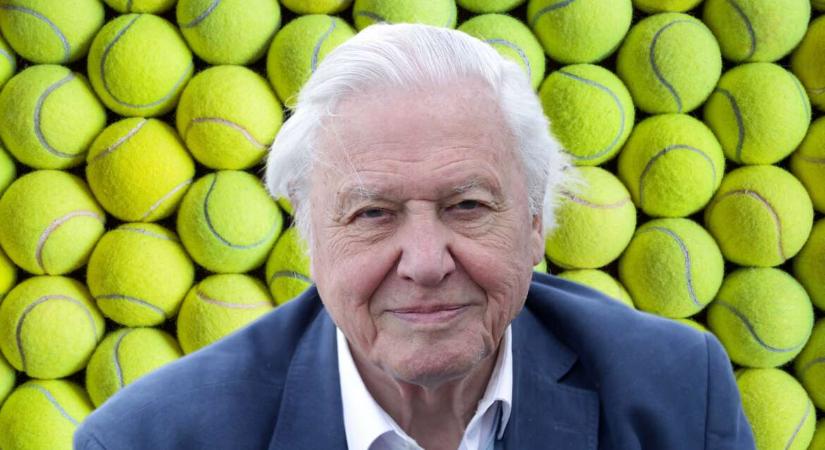 Sir David Attenborough-nak köszönhetjük a teniszlabdák színét, de lehetnének sokkal zöldebbek is