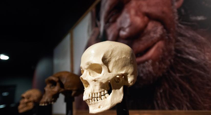 A neandervölgyi gének egy csoportját biztos nem hordozza az ember