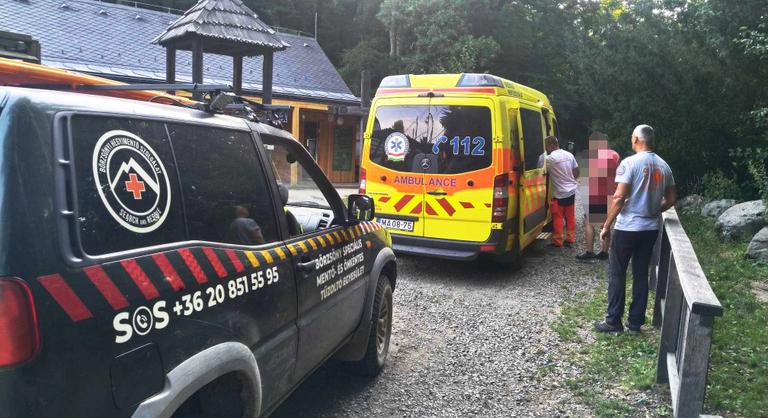 Kiszáradás miatt riasztották a hegyi mentőket egy kisfiúhoz a Börzsönyben