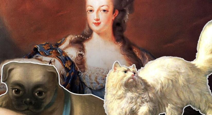 Kutyák, macskák, rózsaszín bárányok és egy elefánt – Marie Antoinette állatai