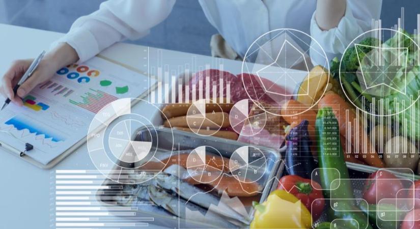 Modern táplálkozástudomány 2024-ben – Egészséges bélflóra és fehérjediéta