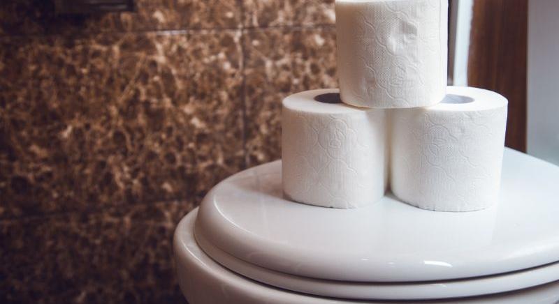 WC-papír eredete – Mit használtak őseink? Érdekességek a múltból