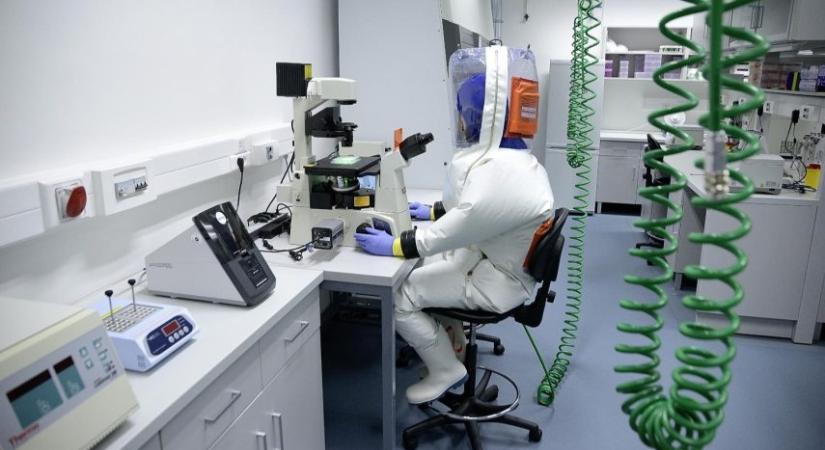 Pécsi szakmai segítséggel létesül virológiai laboratórium Brazíliában