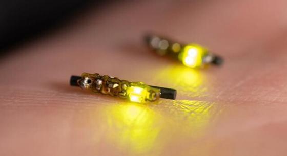 Rizsszem méretű, LED-es eszköz pusztíthatja el a rákos sejteket