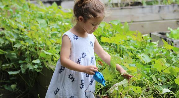 6 ok, amiért a kertészkedés jót tesz az egészségednek  3 könyv kertekről