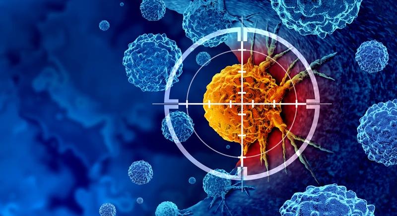 Kutatók megtalálták a rákos sejtek elpusztításának pontos módját