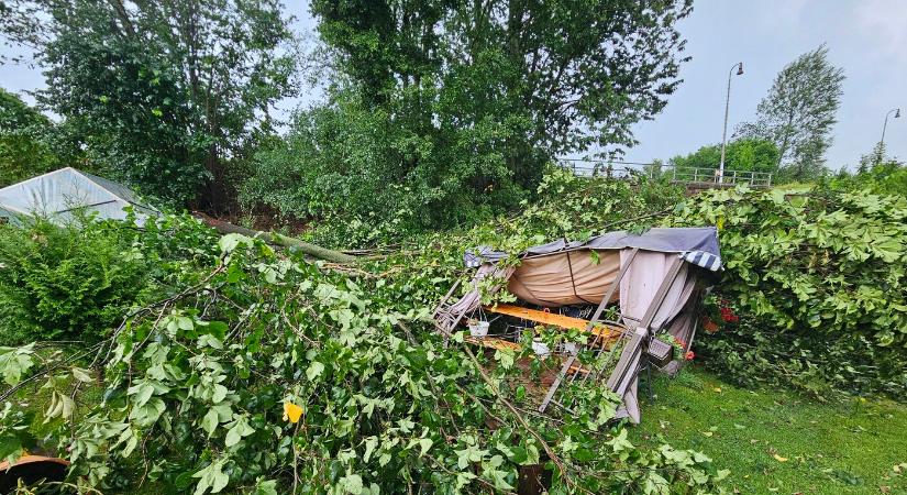 Fákat csavart ki és villanyvezetékeket rongált meg a vihar Nyitra megyében