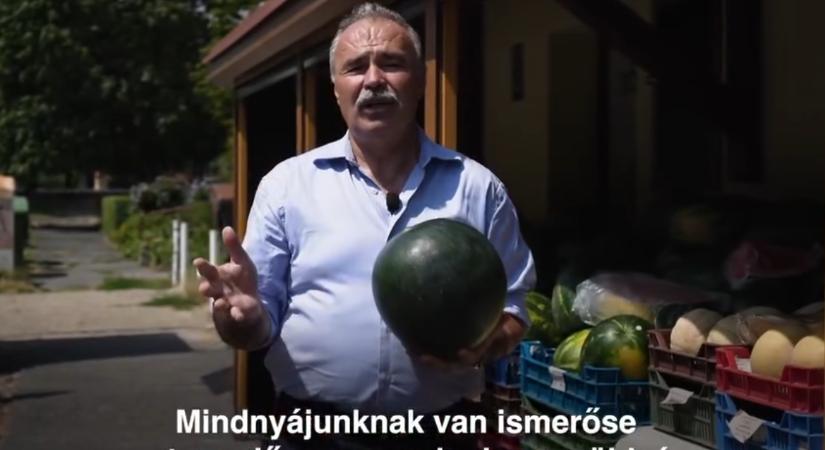 Nagy István: Segítsünk a magyar termelőkön, és válasszuk a hazai dinnyét!
