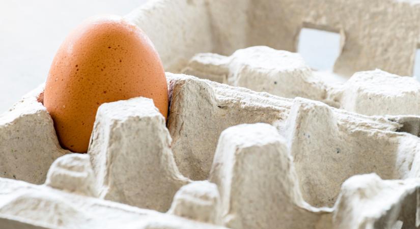 Érik a tojás-krízis Ausztráliában: erre már a McDonald's-nak is lépnie kellett