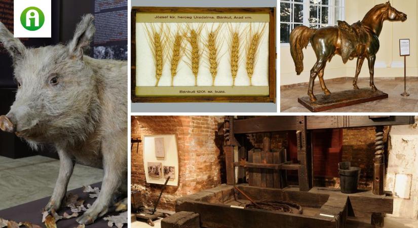 A 10 legnépszerűbb látnivaló a Magyar Mezőgazdasági Múzeumban