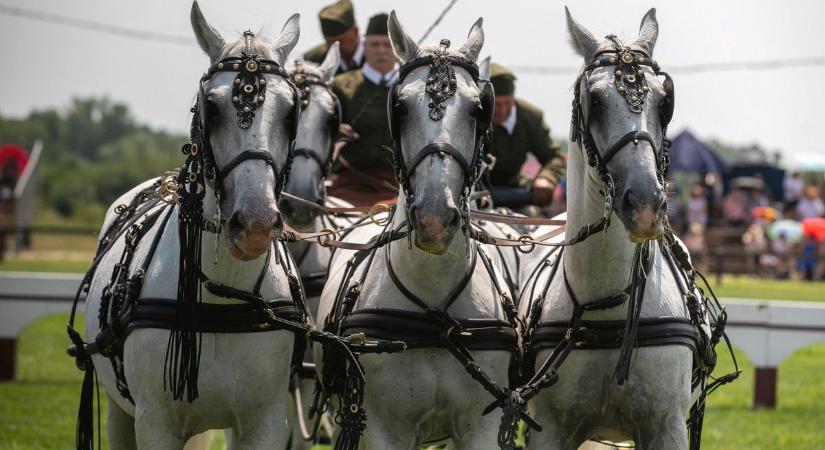 Hortobágyi Lovasnapok: gyönyörű lovak lepték el a mátai arénát – fotókkal, videóval