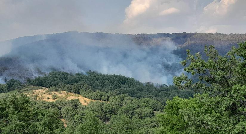 Válsághelyzetet hirdettek Észak-Macedóniában az erdőtüzek miatt