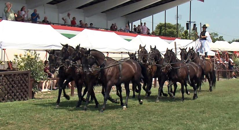 A magyar pásztor- és lovas értékek is megjelentek az 56. Hortobágyi Lovasnapokon – videóval