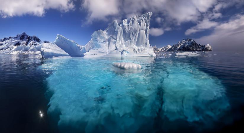 Idegen lény az Antarktisznál? A tudósokat is sokkolta az arctámadószerű, 20 karú teremtmény