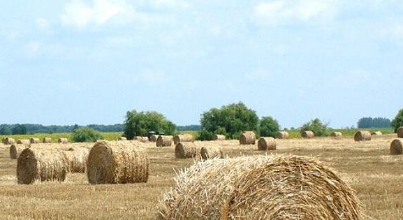 A magyar agrárbárók átlagos birtokmérete tízszer nagyobb, mint az uniós átlag