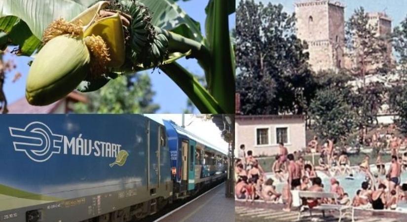Banánérlelő hőség a vonatokon és Miskolcon, Diósgyőrben nagyáruház és strand nyílt (anno)