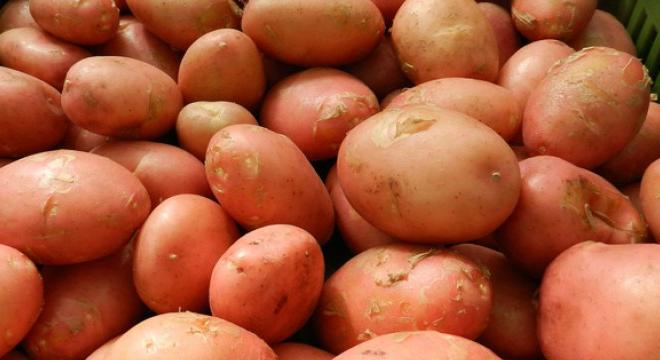 Nem csak választások előtt jár: tíz kiló krumplival kedveskednek a Külgazdasági és Külügyminisztérium dolgozóinak