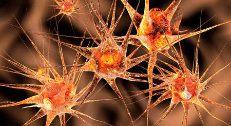 Új felfedezése segíthet az agyat érintő betegségek okainak megértésében