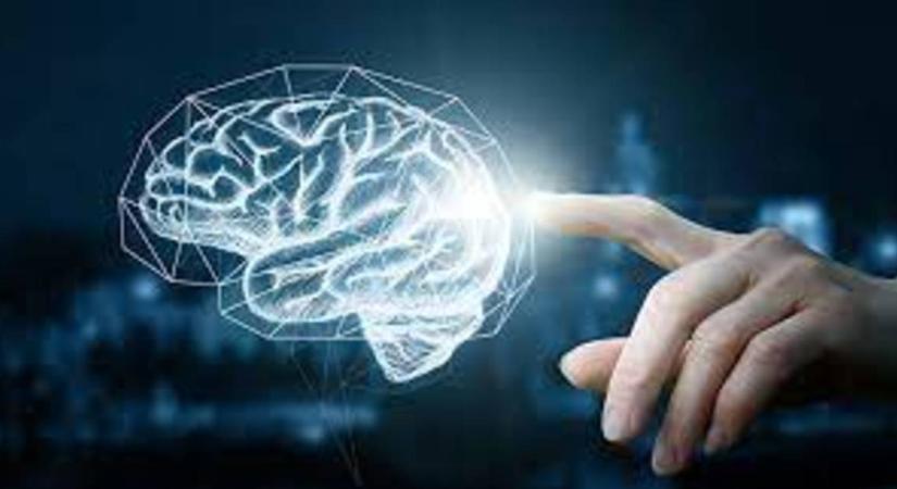 Új felfedezés segíthet az agyat érintő betegségek okainak megértésében