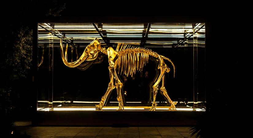 Feltörhetik az 52 ezer éve halott gyapjas mamut genetikai kódját