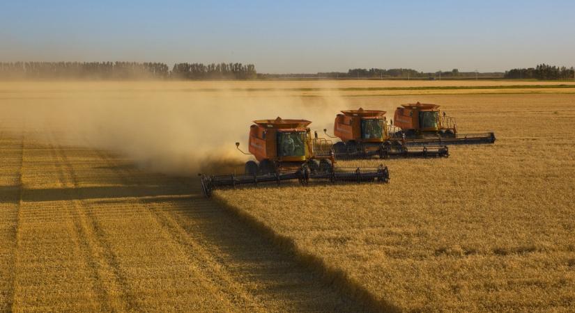 Véget ér a kalászosok aratása: íme a friss adatok, ennyit kaszáltak a magyar gazdák 2024-ben