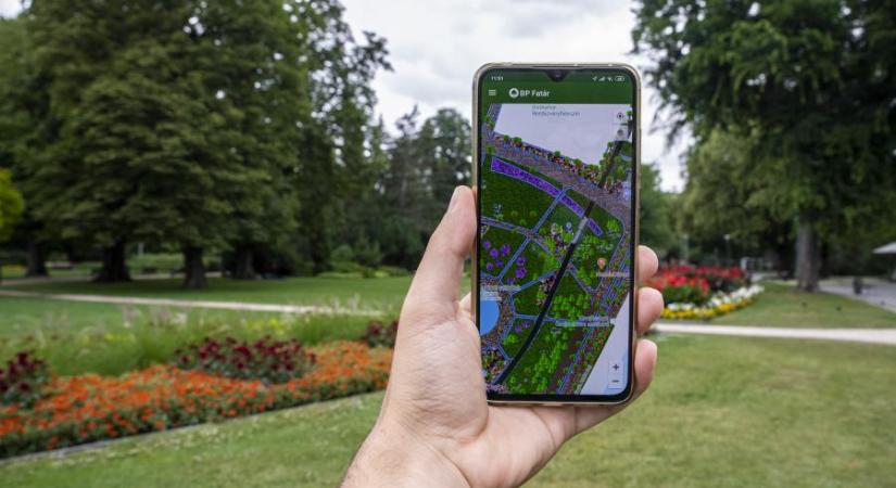 Még több budapesti fát, parkot zöldterületet lehet felfedezni és követni egy mobilalkalmazással