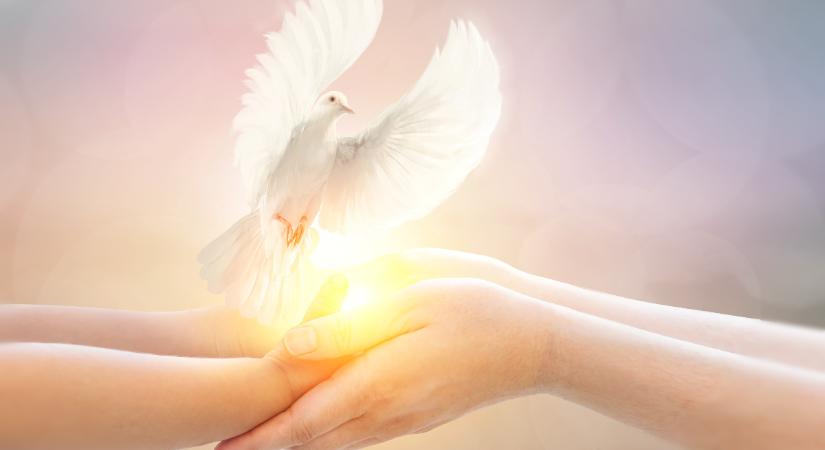 A Védelem angyala urakodik július 17. és 22. között