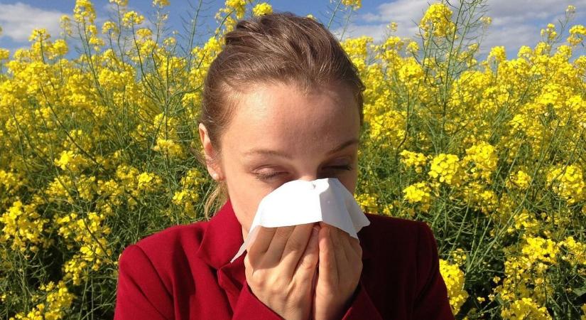 Az elviselhetetlen kánikula mellé az allergiaszezon is beköszönt