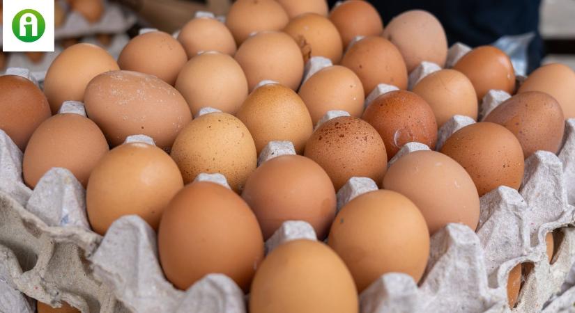 Nincs megállás? Őrült zuhanásban a tojás ára