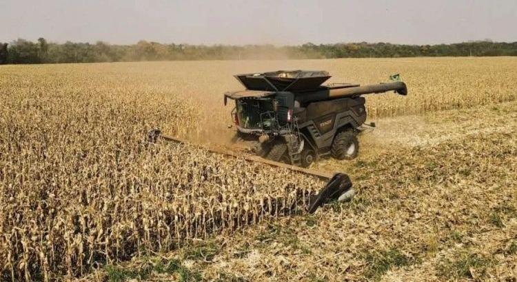 Visszaesik a brazil kukoricatermelés és -export