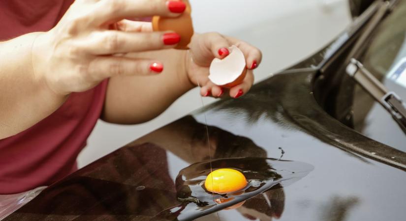 Vajon megsül-e a tojás a fekete autón? – fotókkal