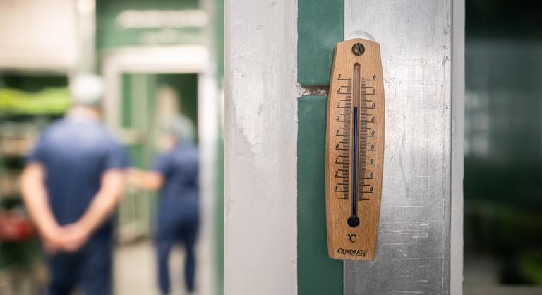Vészhelyzet az egészségügyben: a tomboló hőség új veszélyeket hozott a kórházakba
