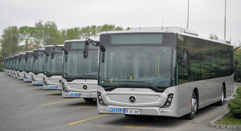 Jó hír a fesztiválrajongóknak: expressz autóbuszjáratokat indít a Volán a népszerű rendezvényhez