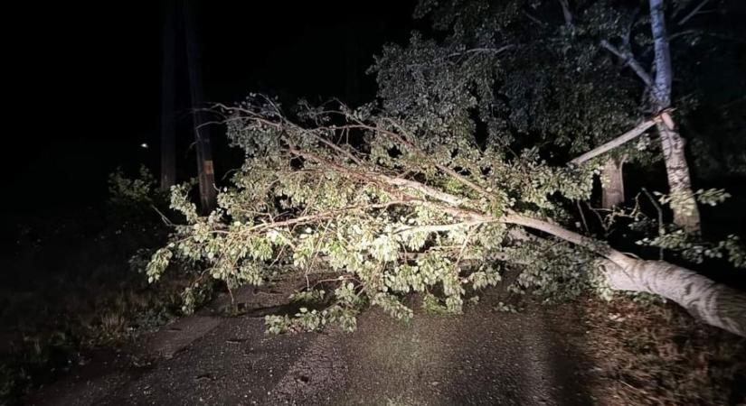 Fákat döntött ki a vihar Törökszentmiklós környékén