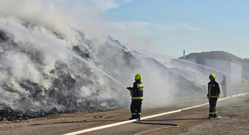 Tűzoltók, helyi vállalkozók és civilek – együtt megállították a Polgárdi külterületénél keletkezett tüzet