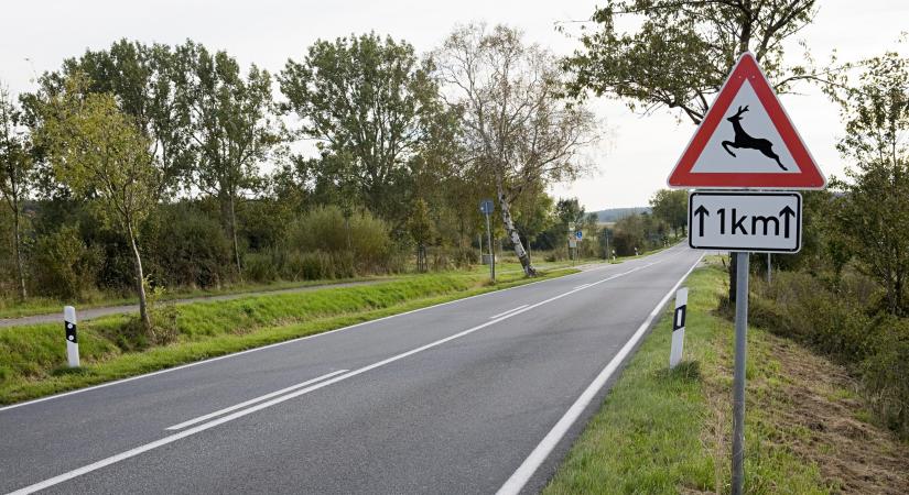 Veszély fenyeget a magyar utakon, lassítani kell