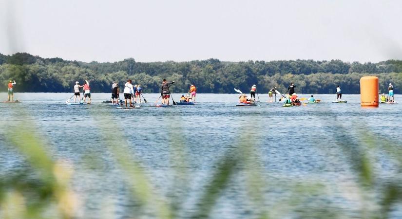 A Tisza-tónál is vannak kincsesládák