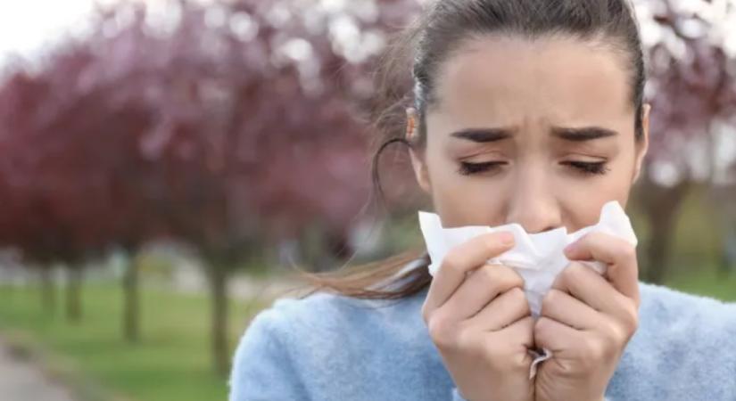 A szakértők figyelmeztették az allergiásokat, már nagyon kevés idő van hátra – Az ingatlantulajok büntetés is kaphatnak