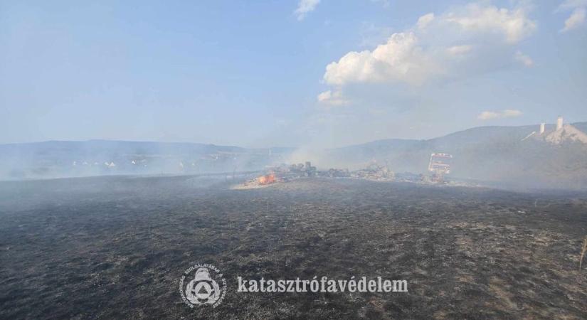 Hetvenhat tűzoltó oltotta a lángokat Tapolcán - Erdő is égett (képek)