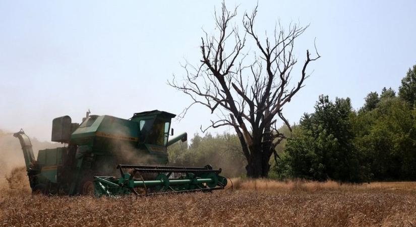 Az oroszok felgyújtják az ukrán gabonamezőket
