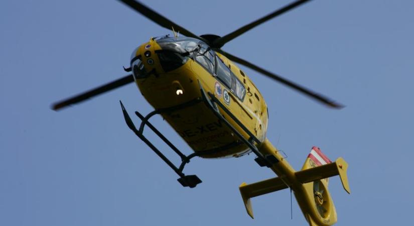 Pitbull támadt egy kétéves kislányra Rajkán, mentőhelikopterrel szállították kórházba