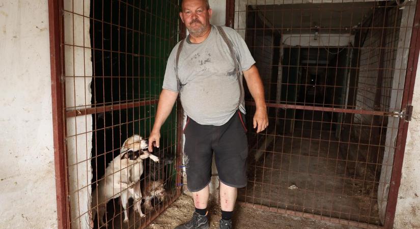 Befogadott kutyáiért küzd György – A villanyszámla havi 360 ezer, az állatok etetése napi 55 ezer forint