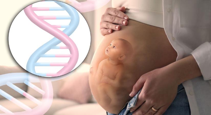 A genetikai vizsgálat ma már a várandósgondozás szerves része