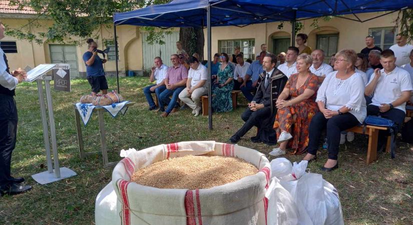 Magyarok Kenyere: először szerveztek búzaösszeöntő ünnepséget Fehér megyében