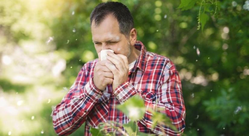 Allergiások figyelem: itt van néhány egyszerű tünetenyhítő módszer