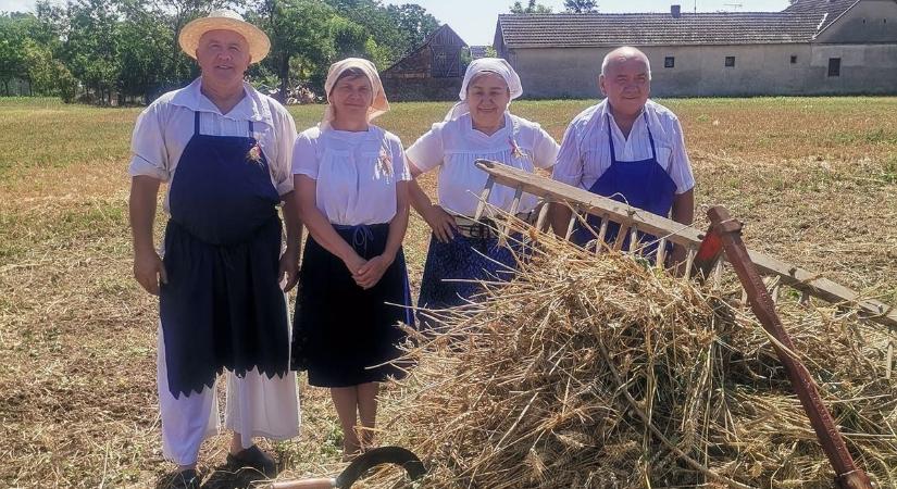 Különdíjat érdemelt a bogyiszlói aratóreggeli