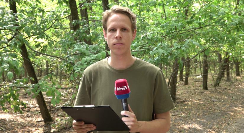 Utánajártunk. hogy valóban történt-e újabb lövöldözés a Szabadka környéki erdőben  videó