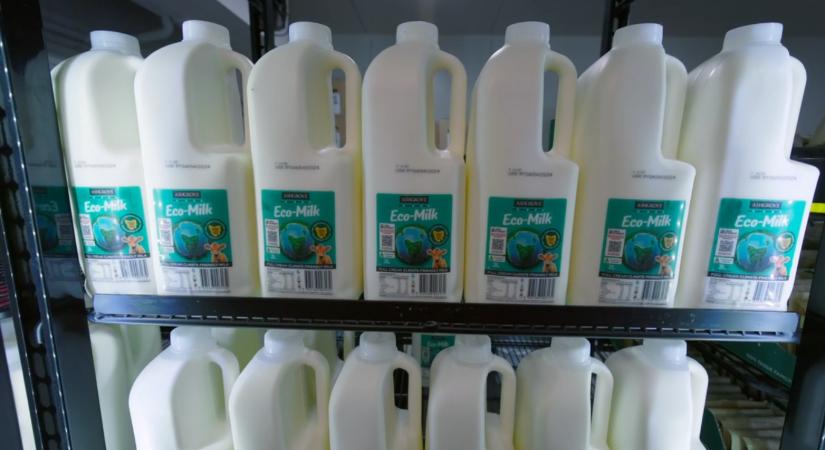 Kevesebb metánkibocsátás, magasabb ár: újfajta tejet dobnak piacra Ausztráliában