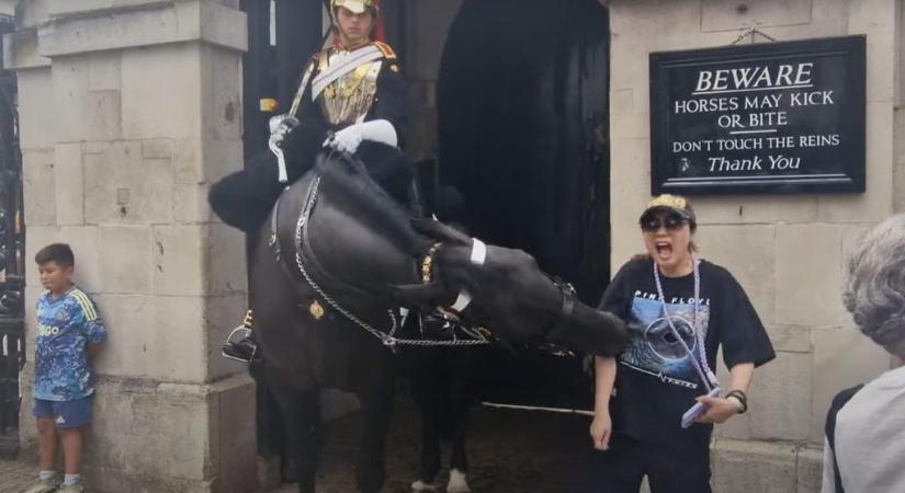 Úgy megharapott a brit királyi gárda lova egy turistát, hogy elájult a fájdalomtól